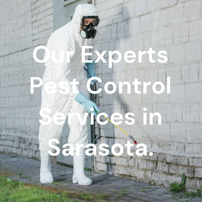 Do you need Mosquito Control Services in the Bradenton Area?