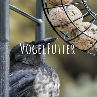 VogelFutter