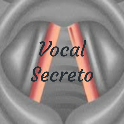 Vocal Secreto