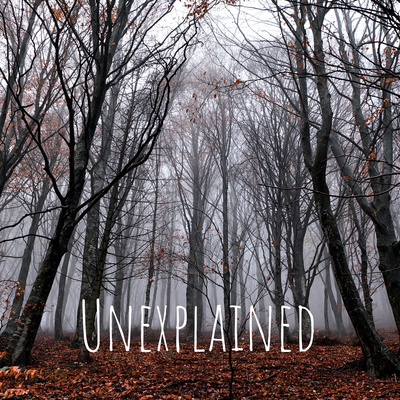 Episode 5- Ghostly Encounters