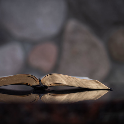 Voices - Rev. Lee Stoneking Voices - Rev. Lee Stoneking