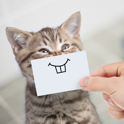 الفرصة مغـنـم Alibaba | ح2م2 الفرصة مغـنـم Alibaba | ح2م2