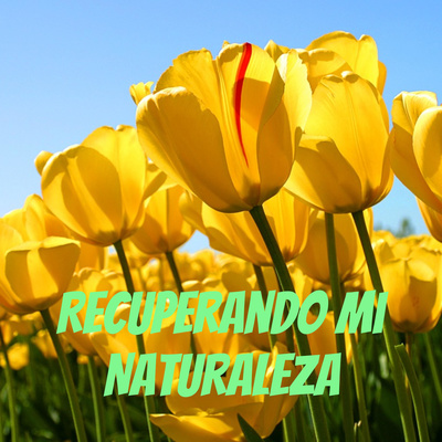 La pandemia y el medio ambiente