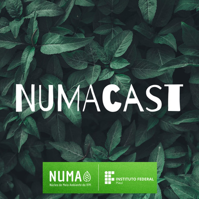 NUMAcast