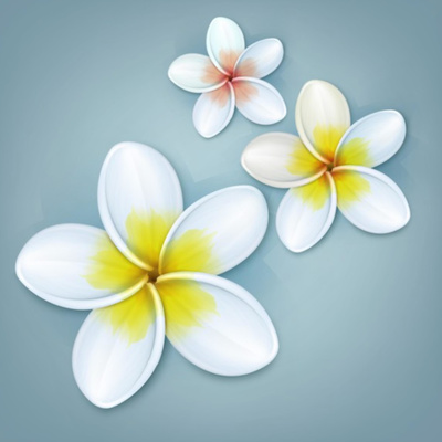 Notes on the Way by The Mother