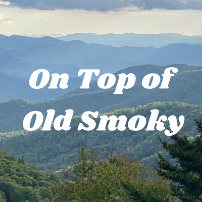 Smoky Mountain Wrestling: The Good Stuff