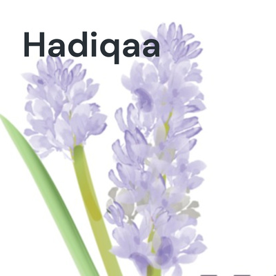 Gardening Basics in the Gulf - Section 1 Gardening Basics in the Gulf - Section 1