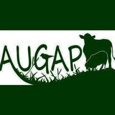 Foros temáticos AUGAP