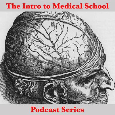 Intro to Medical School Podcast