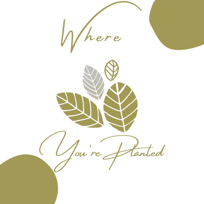 Where You\'re Planted