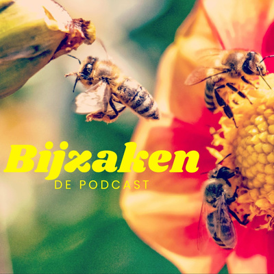 Afl. 2 - De geschiedenis van Bijenhoudersvereniging st. Ambrosius Asten met Fried van de Ven.