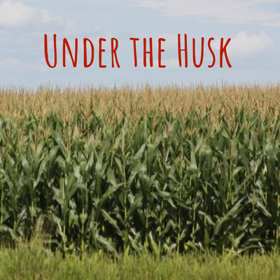 Under the Husk: Episode 14 episode artwork