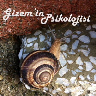 Gizem\'in Psikolojisi