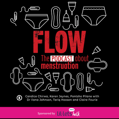 Why Flow: an author’s roundtable about the book