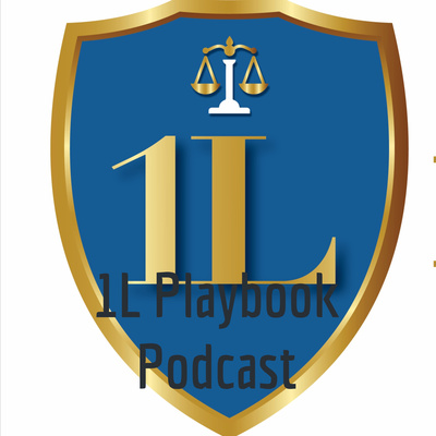 Episode 3 Why the karate kid method of learning law the first year of school is not efficient.