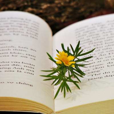 #02: Muốn thành công cần làm gì?