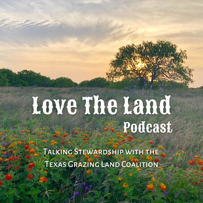 The Carbon Credit Conversation The Carbon Credit Conversation