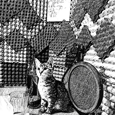 El gato miau