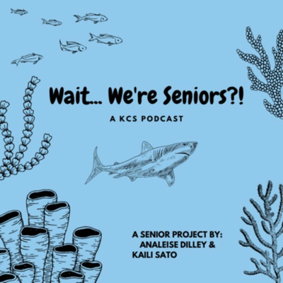 Wait...We\'re Seniors?!