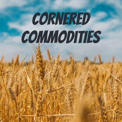 NOPA records their largest monthly soybean crushing and cotton is HOT