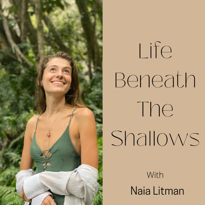 Life Beneath The Shallows