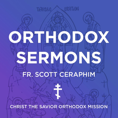 Save Me a Sinner | Orthodox Sermon January 23, 2022