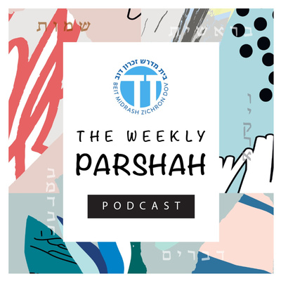 The Toronto Torah