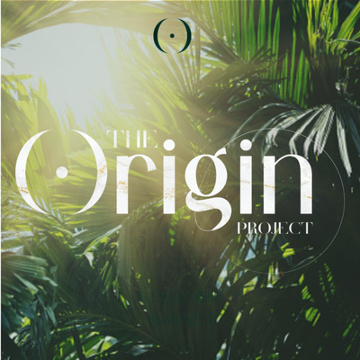 The Origin Project intro
