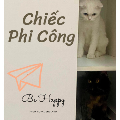 Chiếc Phi công