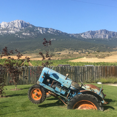 La alegría de la huerta