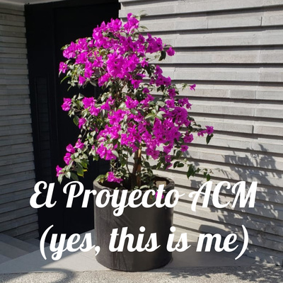 El Proyecto ACM (yes, this is me)