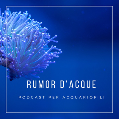 RUMOR D\'ACQUE