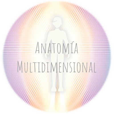 Anatomía Multidimensional