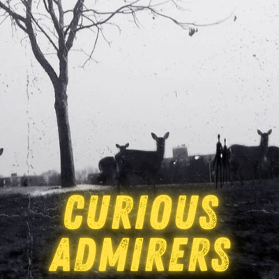 Curious Admirers