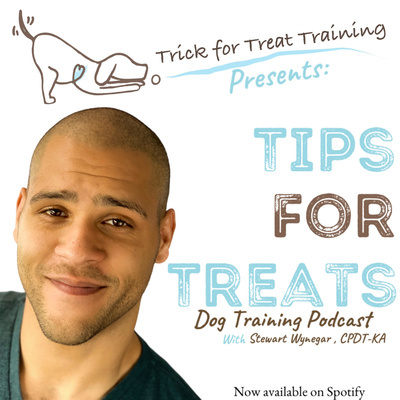 Learning Theory: Classical Conditioning Learning Theory: Classical Conditioning