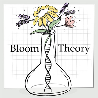 Bloom Theory