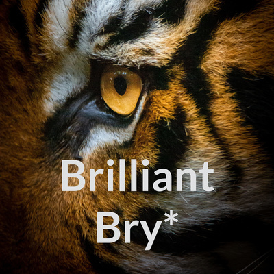 Brilliant Bry* 在路上