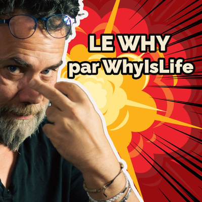 WhyIsLife - Vie pro, vie privée : Découvrez le Why et sa puissance