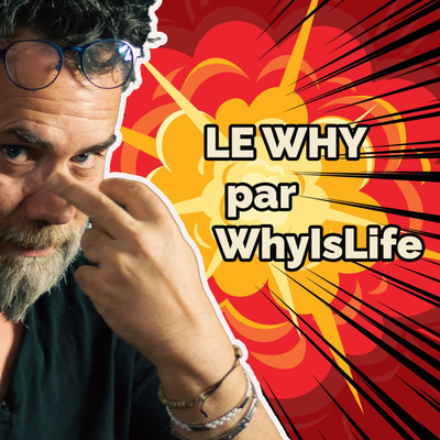 WhyIsLife - Vie pro, vie privée : Découvrez le Why et sa puissance