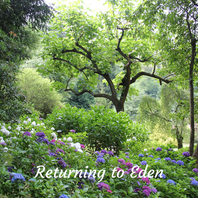 Returning to Eden: Pursuing Purity and Wholeness in the Holy Spirit