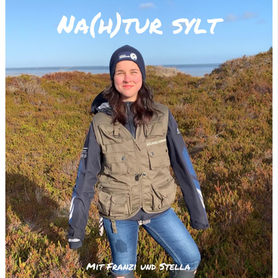 7 Das Auf und Ab in der Vogelwelt: Küken vs. Vogelgrippe