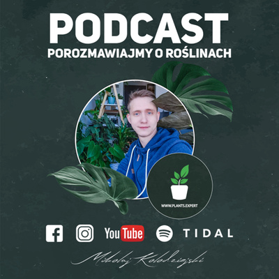 #4 POROZMAWIAJMY O ROŚLINACH - ROŚLINY DLA KAŻDEGO, ROŚLINY PROSTE W UPRAWIE - WWW.PLANTS.EXPERT PATRON: WWW.FLORAPOINT.PL