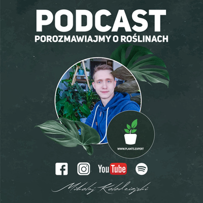 ROŚLINY VARIEGATA STABILNE GATUNKI I ODMIANY ROŚLINY W KTÓRE WARTO INWESTOWAĆ - WWW.PLANTS.EXPERT
