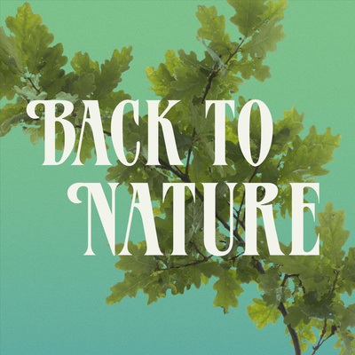 Deep in the Museum (w/ Dr. Monica Penick)