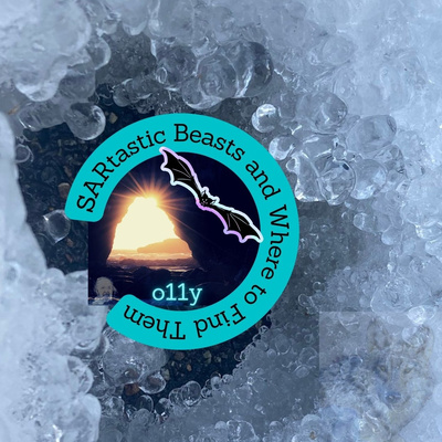 The fading canvas (In conversation with Dr. Fabrice Calmels, Research Chair in Permafrost and Geoscience at the Yukon University Research Centre in Canada)