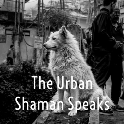 The Urban Shaman Speaks