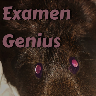 HAVO: ALLE Kenmerkende Aspecten van Geschiedenis