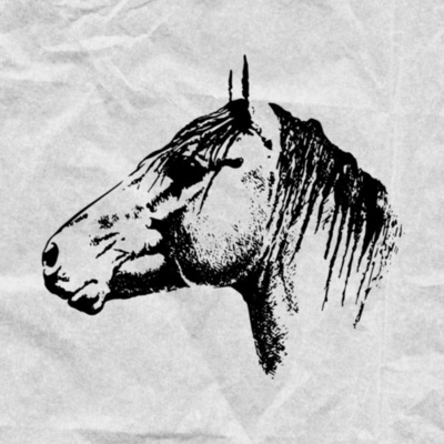 CRIOLLOS - Un Podcast A Rienda Suelta