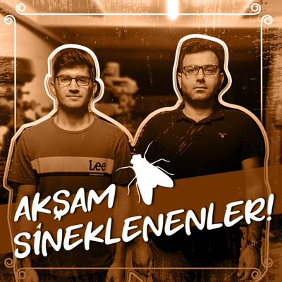 Akşam Sineklenenler