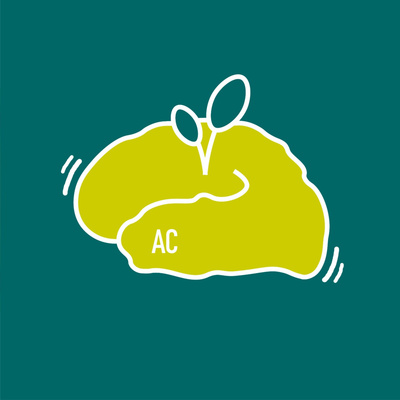 Áreas Complementares